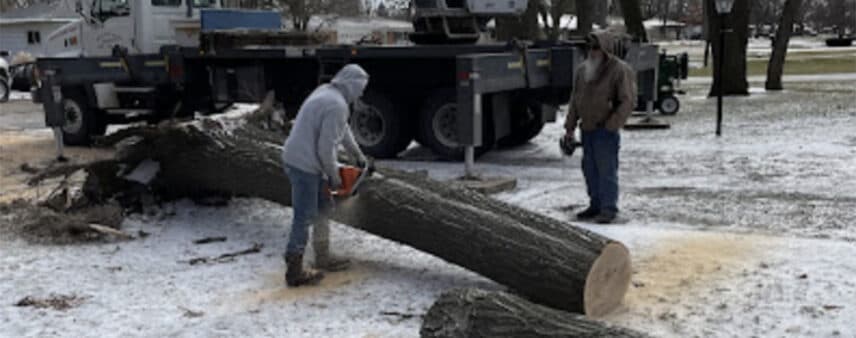 who is responsible for removing a fallen tree