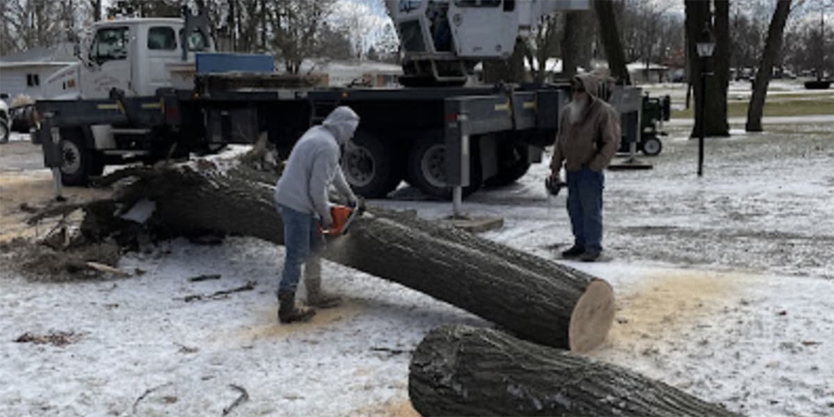 who is responsible for removing a fallen tree