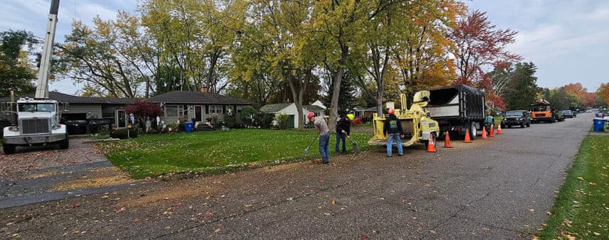 does clearing land increase property value
