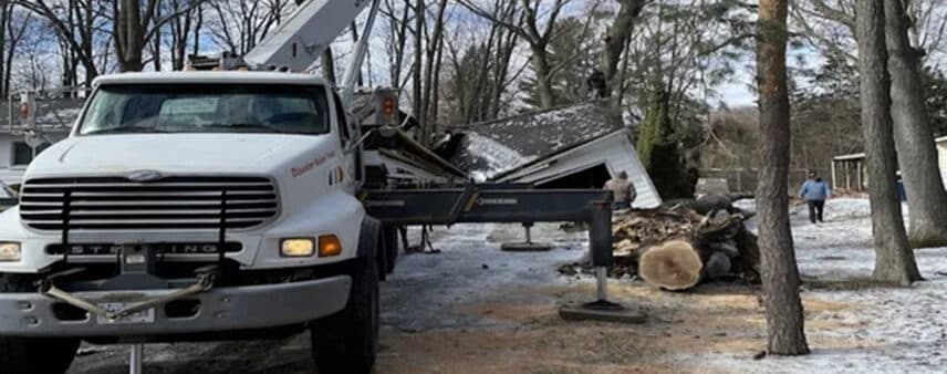 benefits of land clearing