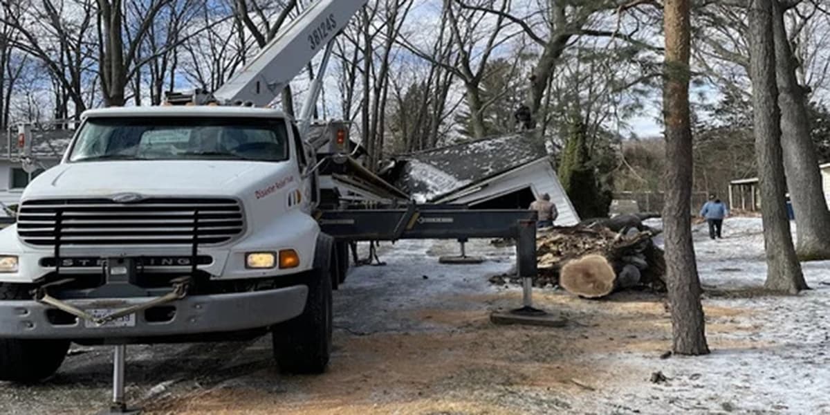 benefits of land clearing