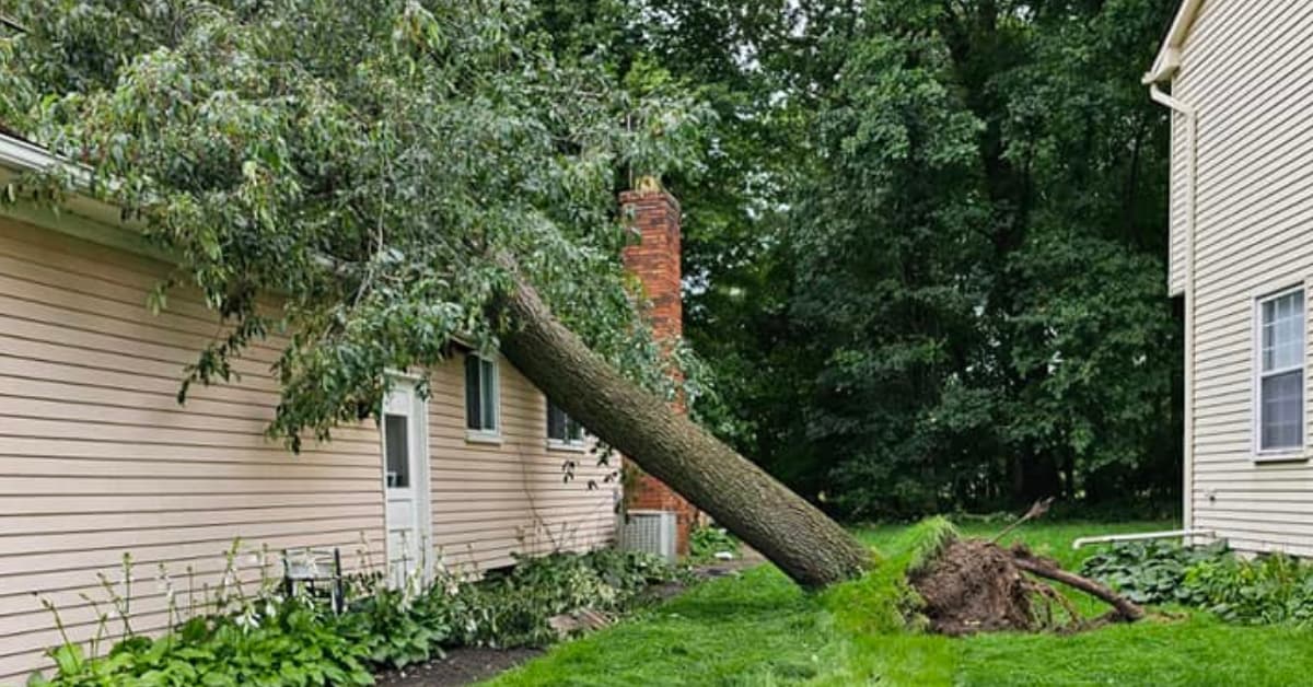 Otto Tree Service crew responding to emergency storm damage tree removal in Waterford Township, Oakland County, MI