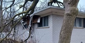 24 7 Emergency Tree Service service image