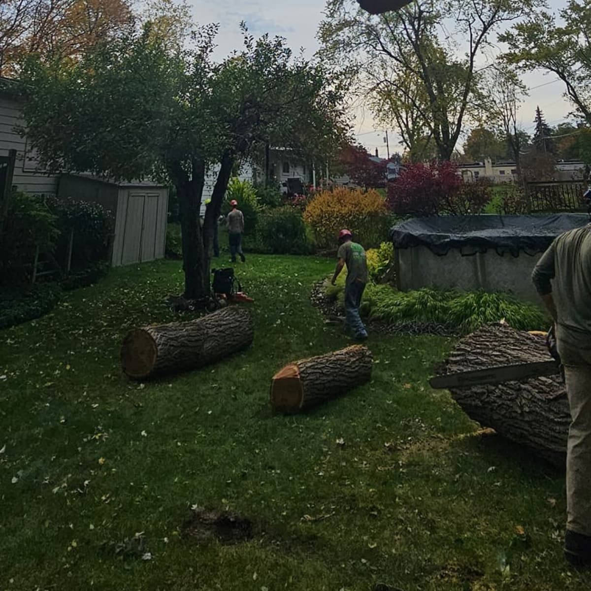 Pontiac Tree Service