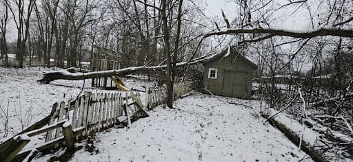A Tree Hazard Assessment Was the First Step to Property Safety