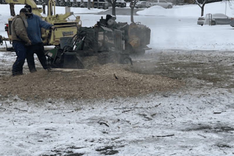 Excellence in Tree Removal in Waterford, MI