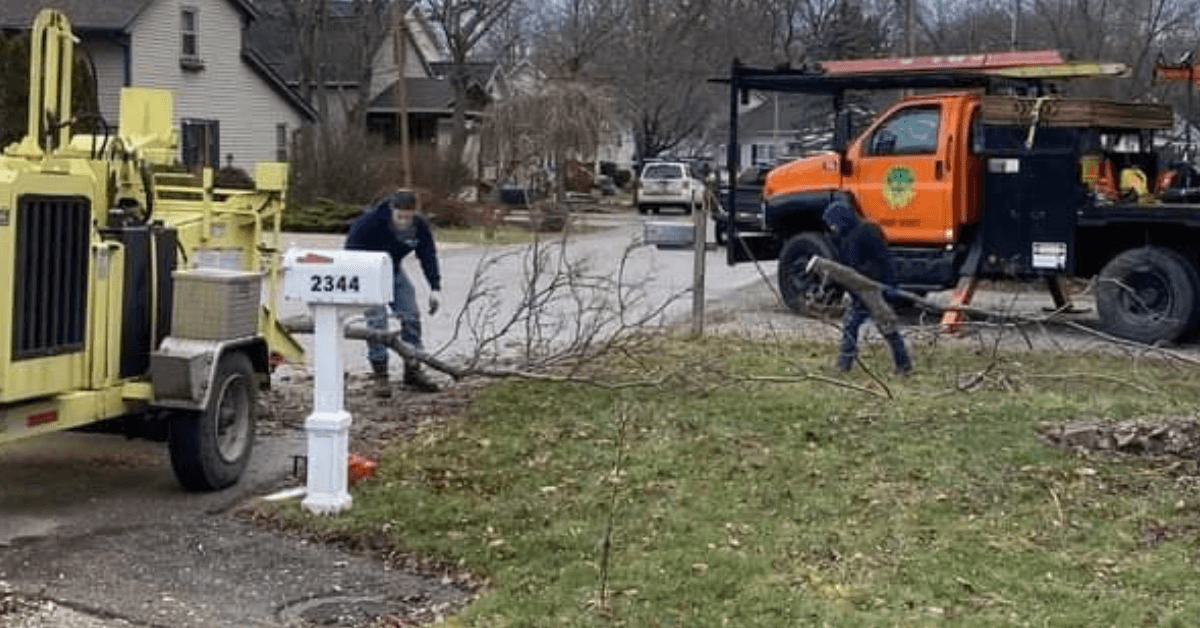 Land and Lot Clearing