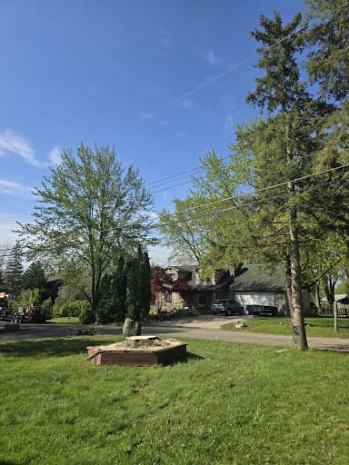 Maple Tree Removal in Waterford Michigan Otto Tree Service Delivers Fast Safe Results