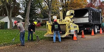 Residential Lot Clearing