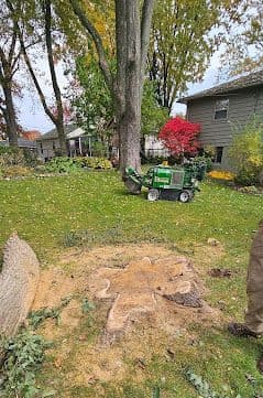 Stump Grinding in Auburn Hills