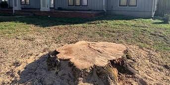 Stump Grinding