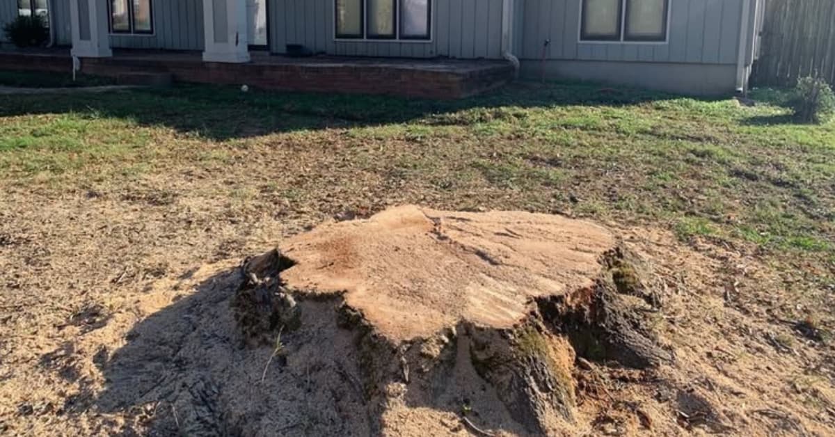 Stump grinding