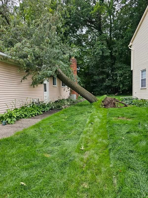 This silver maple threatened the home and overhead utilities.