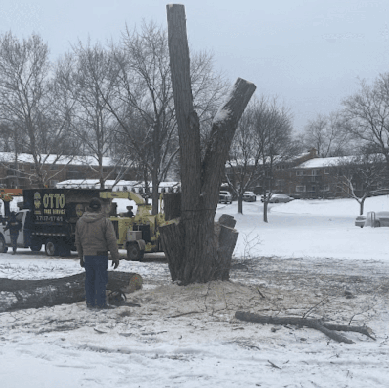 Total Cleanup and Customer Satisfaction