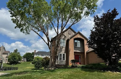 Tree Care Experts Deliver on Their Promise for Guaranteed Satisfaction
