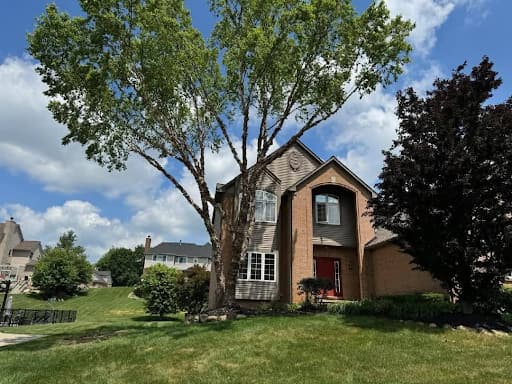 Tree Care Experts Deliver on Their Promise for Guaranteed Satisfaction