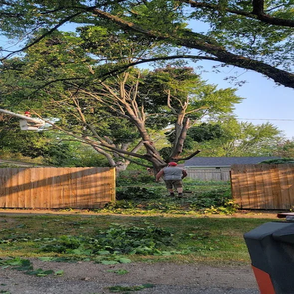 emergency-tree-service-bloomfield-hills-mi