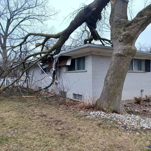 emergency-tree-service-oakland-county-mi