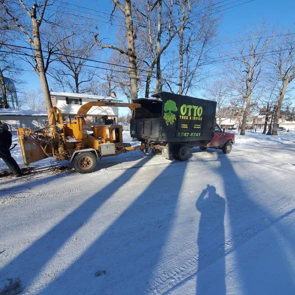 emergency-tree-service-royal-oak-mi