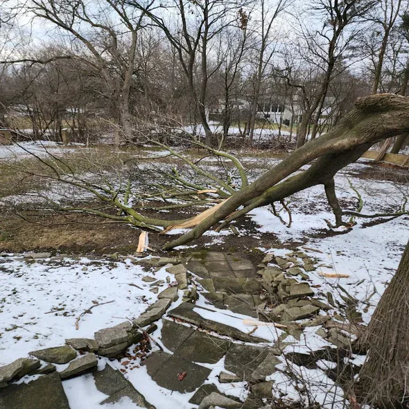 land-lot-clearing-auburn-hills-mi