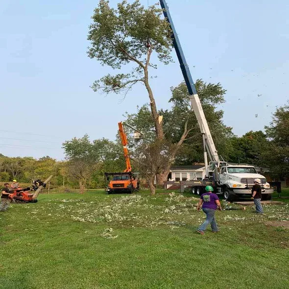land-lot-clearing-bloomfield-hills-mi