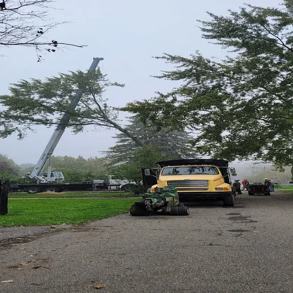 land-lot-clearing-royal-oak-mi