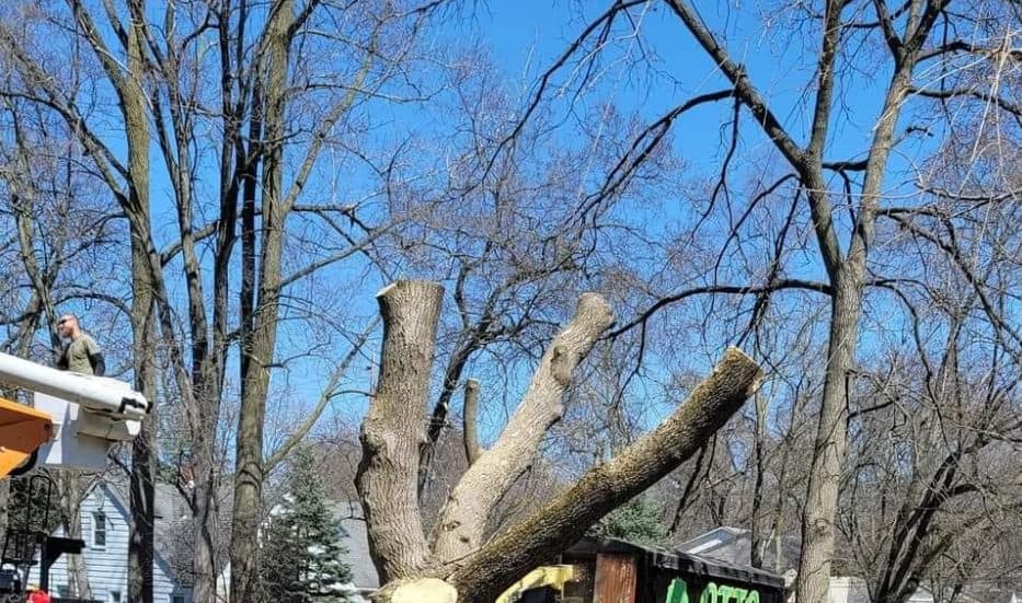 strong windstorm to knock it down