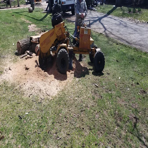 stump-grinding-auburn-hills-mi
