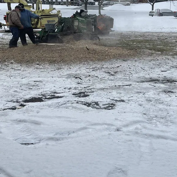 stump-grinding-bloomfield-hills-mi