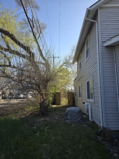 tree pruning waterford