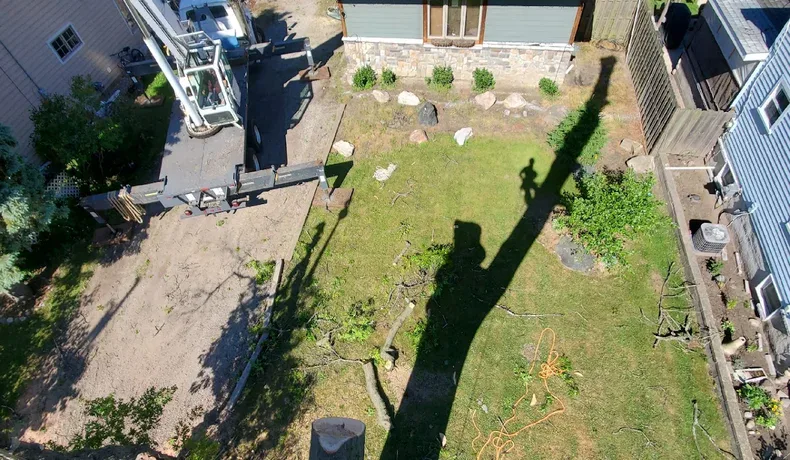 tree-service-auburn-hills-mi-1