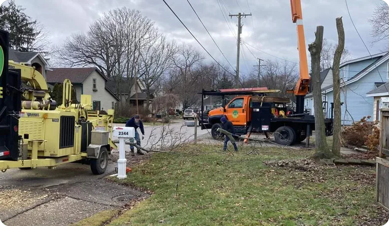 tree-service-royal-oak-mi