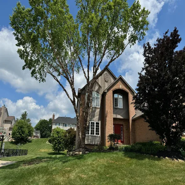 tree-trimming-pruning-auburn-hills-mi