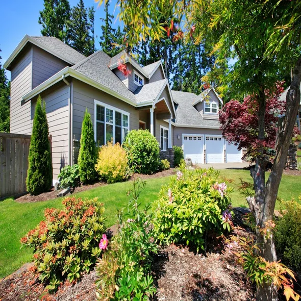 tree-trimming-pruning-royal-oak-mi