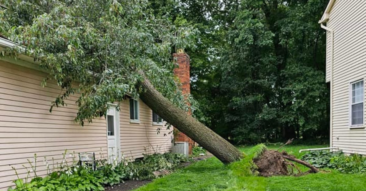Otto Tree Service crew responding to emergency storm damage tree removal in Waterford Township, Oakland County, MI