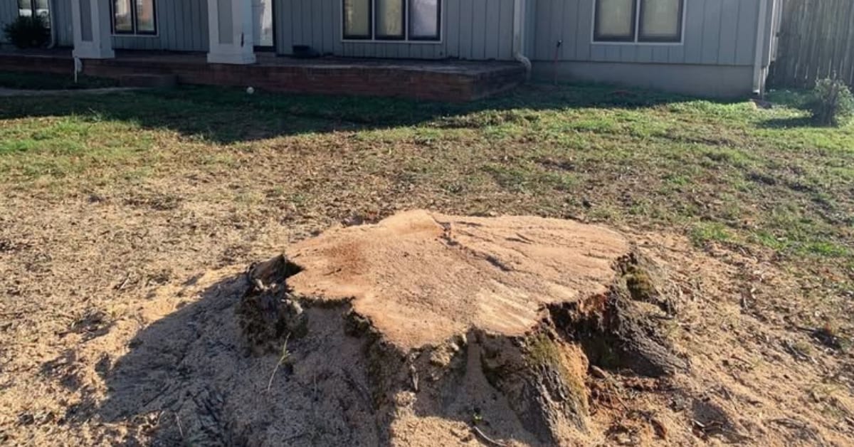 Stump grinding