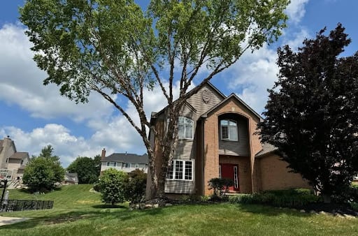 Tree Care Experts Deliver on Their Promise for Guaranteed Satisfaction