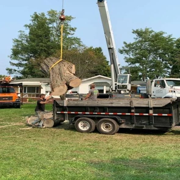 tree-removal-bloomfield-hills-mi