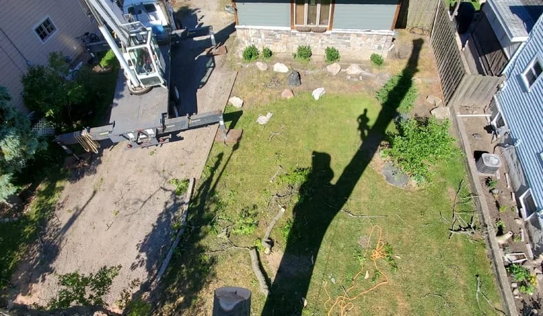 tree-service-auburn-hills-mi-1