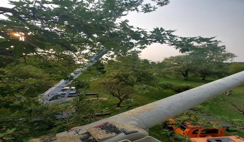 tree-service-oakland-county-mi