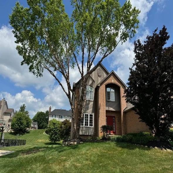tree-trimming-pruning-auburn-hills-mi