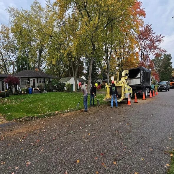 tree-trimming-pruning-oakland-county-mi