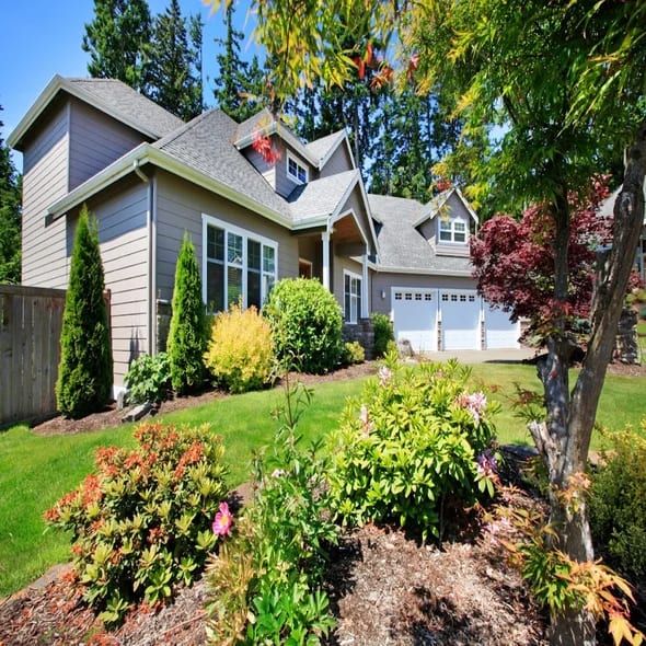 tree-trimming-pruning-royal-oak-mi